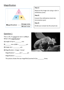 Magnification Calculations Worksheet