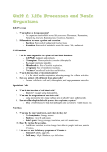 Biology Study Guide: Life Processes & Animal Systems