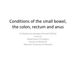 Small Bowel, Colon, Rectum & Anus Conditions