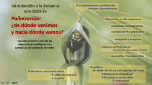 Polinización en Botánica: Orígenes y Estrategias