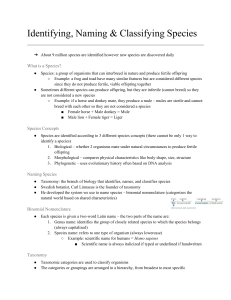 Identifying & Classifying Species: Taxonomy Notes