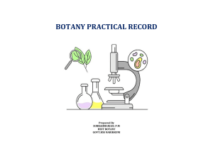 Botany Practical Record: High School Experiments