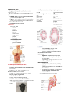 Digestive System: Anatomy & Physiology Lecture Notes