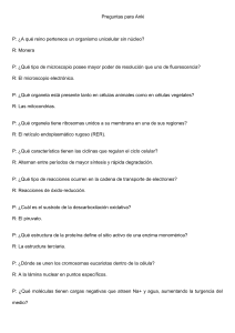 Preguntas y Respuestas Biología Celular Anki