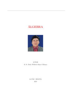 Álgebra: Lógica, Conjuntos, Funciones y Estructuras Algebraicas