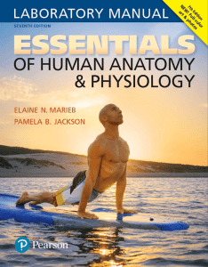 Anatomy & Physiology Lab Manual, 7th Edition