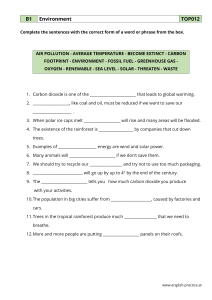 Environment Vocabulary Worksheet - B1 Level