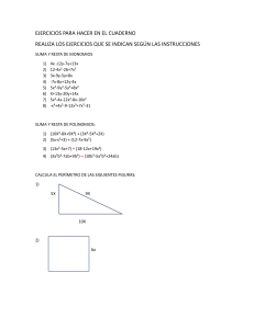 Ejercicios de Álgebra: Monomios, Polinomios, Perímetros y Áreas