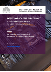 Derecho Procesal Electrónico: Doctrina Actualizada