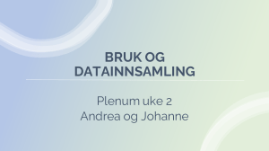 Brugerforståelse og Dataindsamling: Præsentation