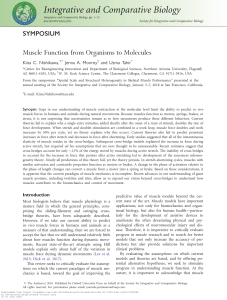 Muscle Function: Organisms to Molecules - Integrative Biology