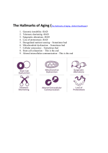 Hallmarks of Aging: Genomic Instability & Cellular Senescence