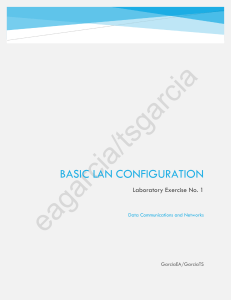 Basic LAN Configuration Lab Exercise