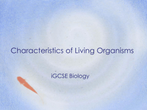 iGCSE Biology: Characteristics of Living Organisms