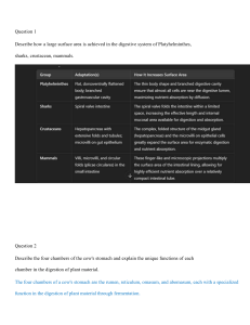 Animal Digestive Systems: Exam Questions & Answers