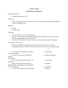 Menstrual Cycle Activity Sheet: Matching & Quiz