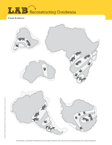 Reconstructing Gondwana: Fossil Evidence Lab