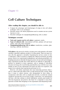 Cell Culture Techniques in Neuroscience