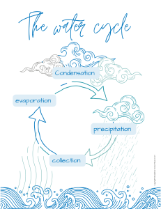 Water Cycle Diagram: Evaporation, Condensation, Precipitation