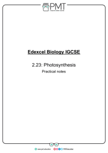 Photosynthesis Practical Notes: Edexcel IGCSE Biology