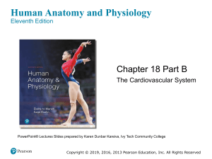 Heart Electrical Events: Intrinsic Conduction System Presentation