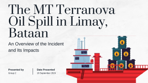 MT Terranova Oil Spill: Impacts & Ethical Analysis