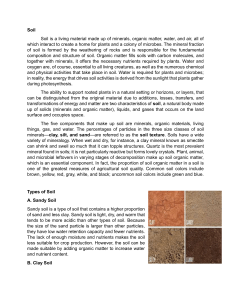 Soil Types, Components, and Pollution Explained