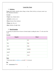 Nouns and Articles: English Grammar Lesson & Exercises