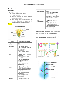 Flower Reproductive Organs: Structure & Types