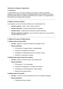 Valorisation Biogaz et Cogénération : Méthanisation et Technologies