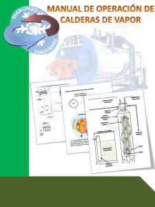 Manual de Operación de Calderas de Vapor