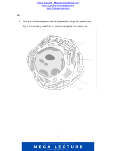 Plasma Cell Structure & Function Worksheet