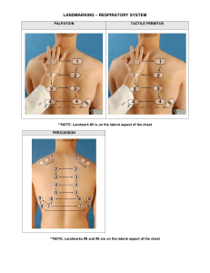 Respiratory System Landmarking: Palpation & Percussion Guide