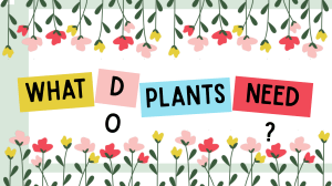 Plant Needs and Adaptations: A Simple Guide