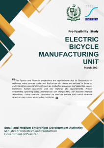 Electric Bicycle Manufacturing Pre-Feasibility Study