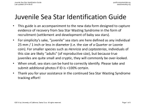 Juvenile Sea Star Identification Guide