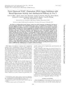 NAD+ DNA Ligase Inhibitors: Broad-Spectrum Antibacterial Efficacy