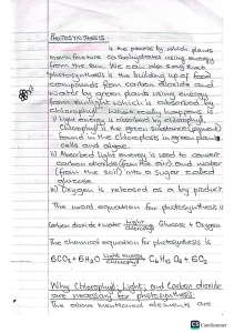 Photosynthesis Notes: Process, Equations, and Requirements