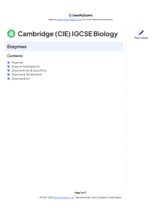 IGCSE Biology: Enzymes - Revision Notes