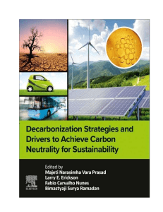 Decarbonization Strategies for Carbon Neutrality