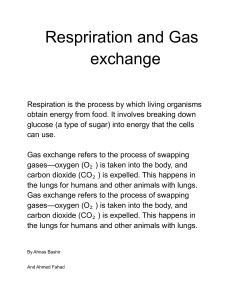 Respiration and Gas Exchange: A Biology Overview