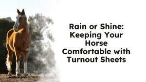 Turnout Rain Sheets: Keeping Horses Comfortable