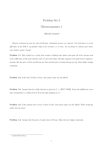 Microeconomics Problem Set: Consumer Choice & Utility