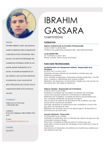 CV Ibrahim Gassara - Plombier Professionnel