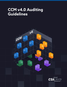 CCM v4.0 Auditing Guidelines