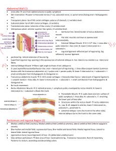 Abdominal Wall & GI Function: Anatomy & Physiology Notes