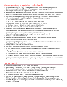 Liver Pathology: Injury, Cirrhosis, and Function