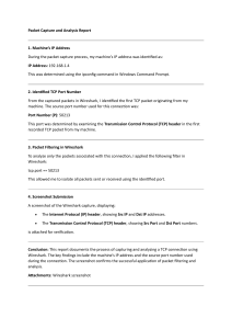 Wireshark Packet Capture Analysis Report