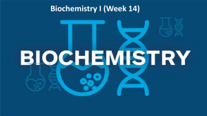 Metabolism Lecture Notes: Biochemistry I