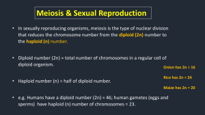 Meiosis & Sexual Reproduction: Genetics Overview